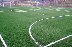 �x�m�{�@���h���� ���̉�