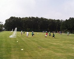 �x�m�{�@���h���� ���̉�