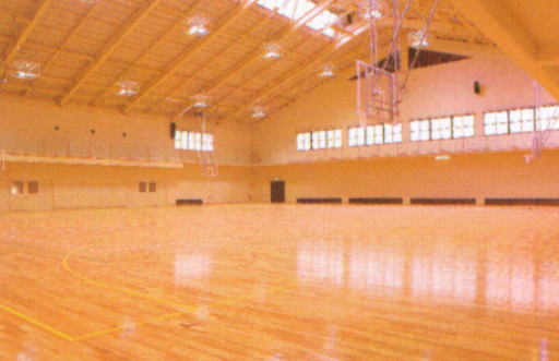 ���c�@�y���V�������c��