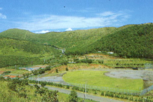 ���c�@�y���V�������c��