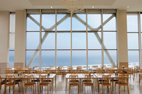 �ɓ��M��@�M��n�C�c