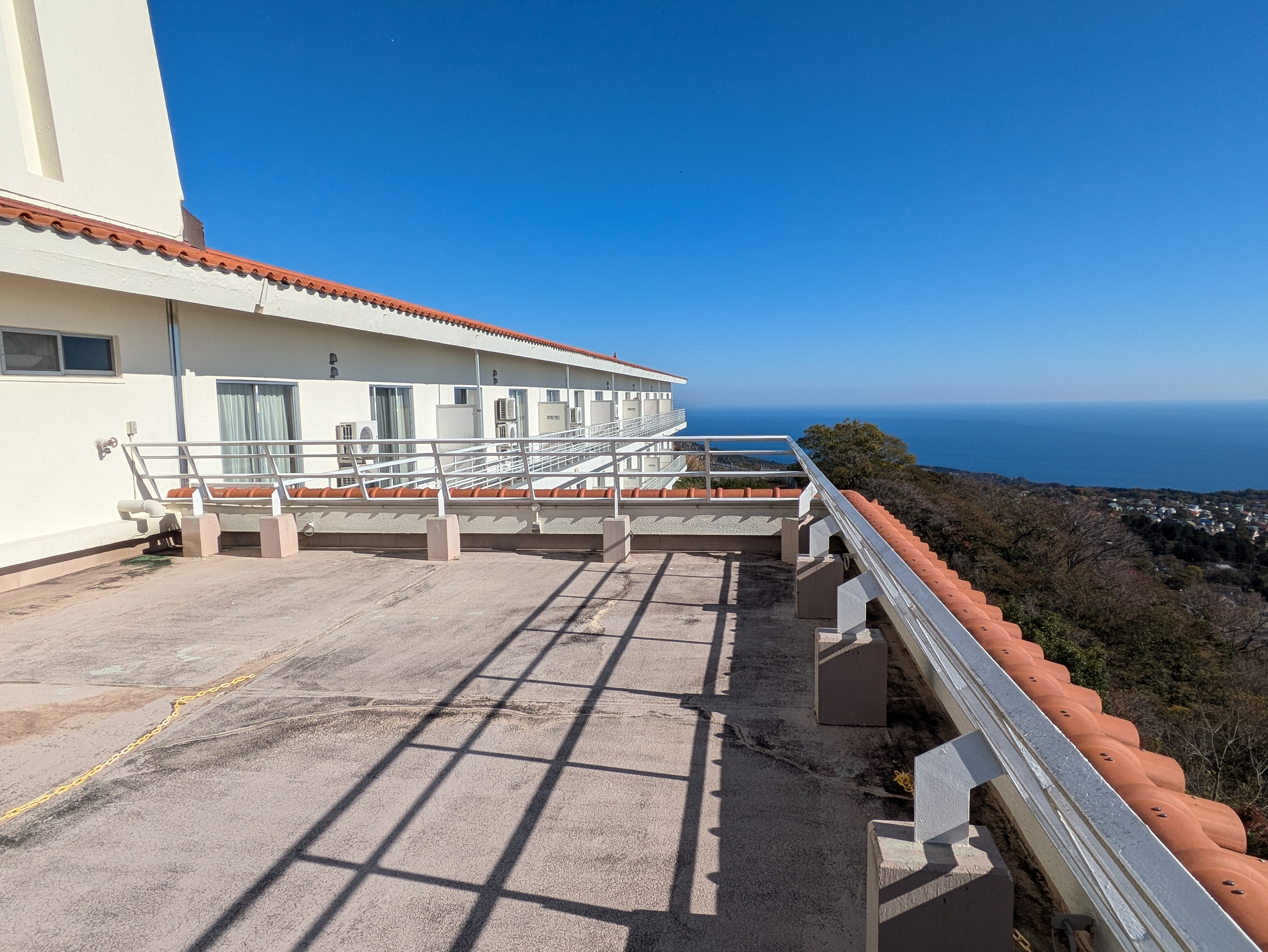 �X�J�C�q���z�e���ɓ�����