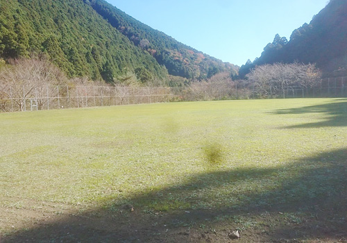 �͒Í��ۃX�|�[�c�r���b�W���ړI�O�����h