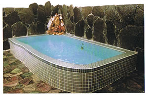 �ɓ����l�@�悱����