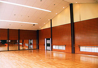 �Ôg�@�I�[�V�����r���[�͂܂䂤