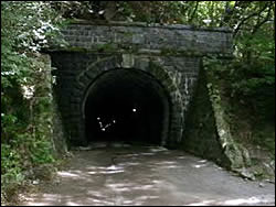 �É������h�̏h�������߂̓V��R詓�