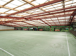 ����s�@��̐�