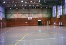 �ɓ��C�P���@�T�C�N���X�|�[�c�Z���^�[