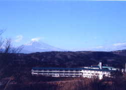 �ɓ��C�P���@�T�C�N���X�|�[�c�Z���^�[