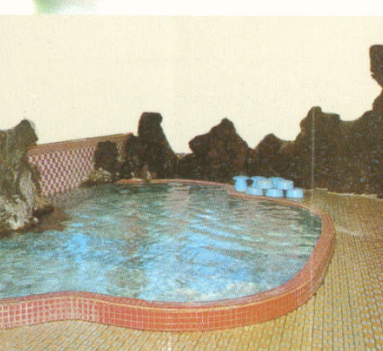 �ɓ�����������@���_�O