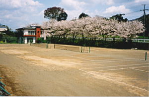 �ɓ�����������@�z�e�����̐�