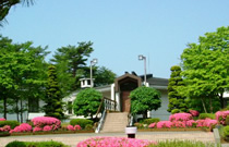 ���Ï�@�ߐ{�X�|�[�c�p�[�N