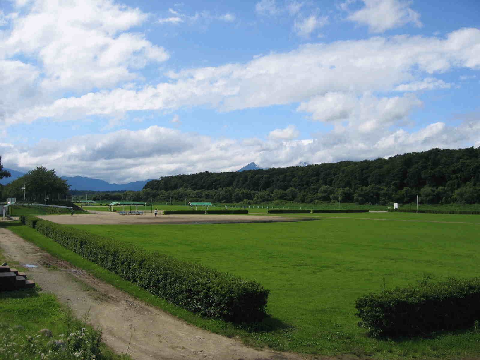 �Ȗ،����h�́A�߉ϐ�͔ȉ^�������싅��