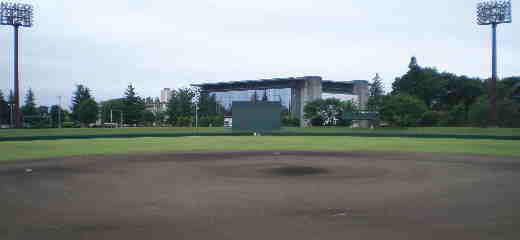 �Ȗ،����h�́A���낢���^����싅��