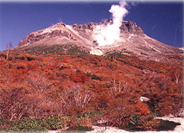 �ߐ{�ܕ�̒��P�x