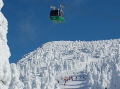 ��������@�z�e���������A�l�b�N�X