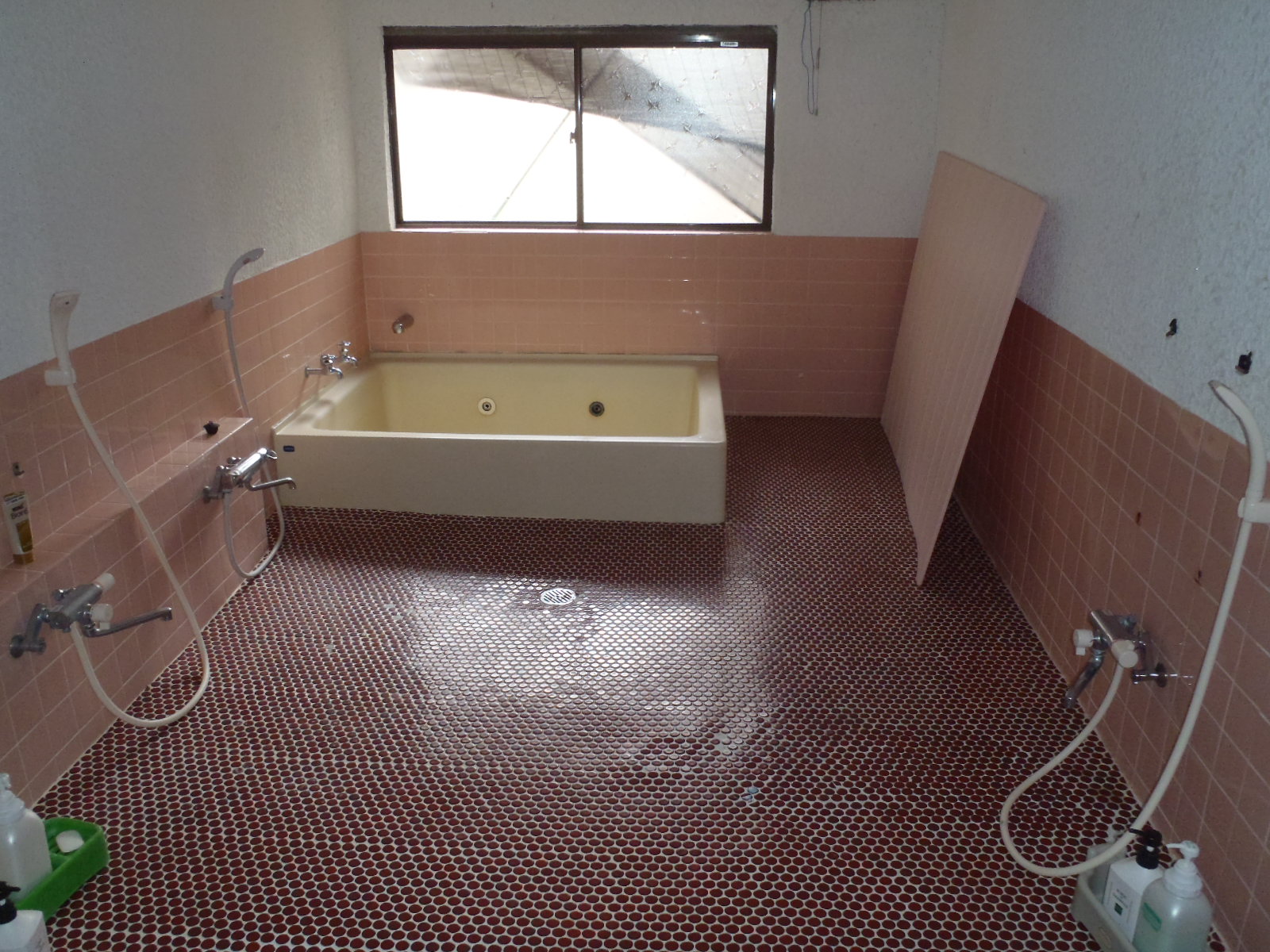 ���u�� ���t�����C