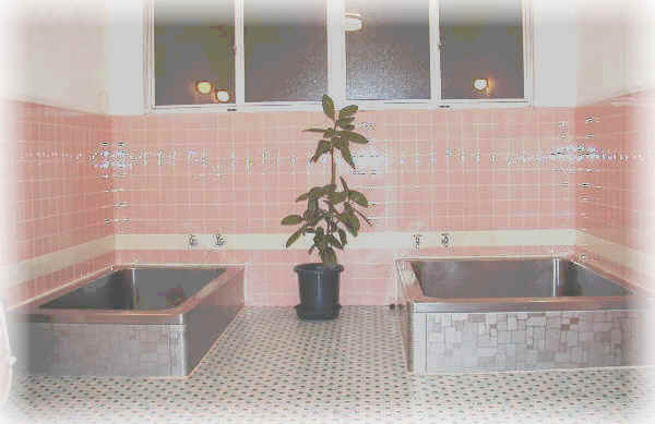 �͌��΁@���]�[�g�C���x�m���@����