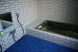 �͌��΁@���]�[�g�C������ ����