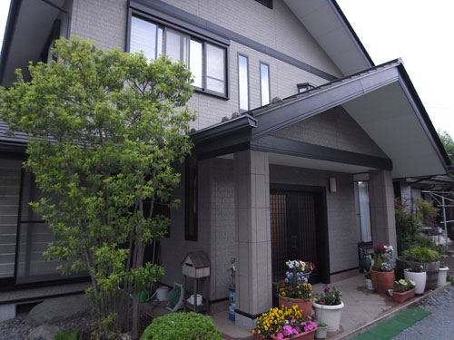 �͌��� ���h ���񂹂�