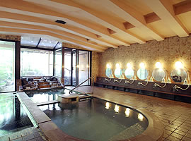 �͌��΁@�z�e���Η�