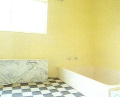 �͌��΁@�j���[�Η�