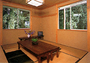 �͌��� �O���[���q������ �q��