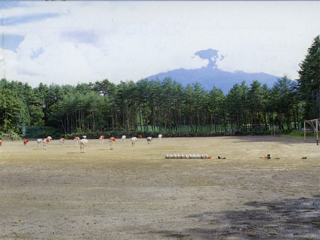 �͌��΁@���̂��ܑ��O�����h