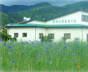 �͌��� �₷�炬�� ���y�z�[��