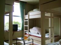 �g�� �y���V����������