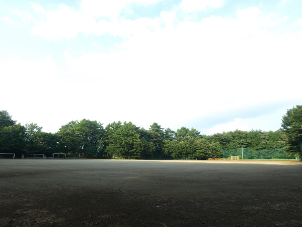 �� ���]�[�g�C���g�쑑�O�����h