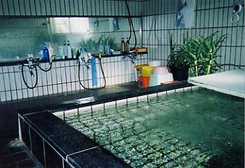 �E��@���h��x�m���C