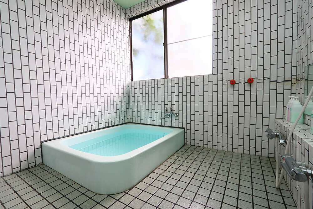 ���C�N�E��@���C