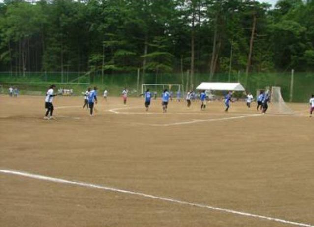 ���C�N�E�쑽�ړI�O�����h