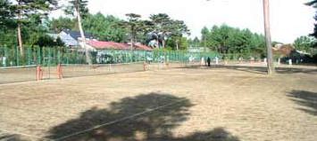 �E��@�p�C���e�j�X���b�a�e�j�X�R�[�g