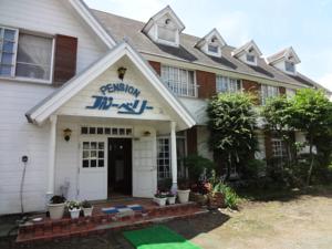 �E��@�y���V�����u���[�x���[�O��