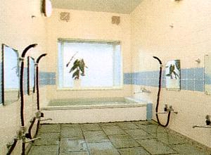 �E��@�y���V�����u���[�x���[���C