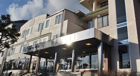 ���΁@HAMAYOU���]�[�g