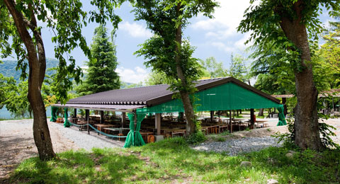 ���΁@HAMAYOU���]�[�g