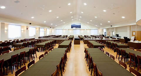 ���΁@HAMAYOU���]�[�g