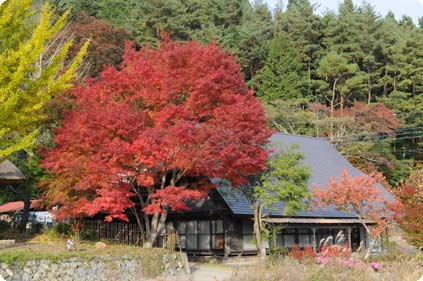 ���΁@���₵�̏h�@�Ђ����ނ�