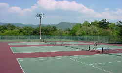 �R�����������ߍ��h�̐��Α��c�ƽ���