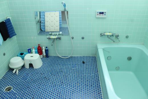 ���i�΁@���h���ǂ葑�@���C