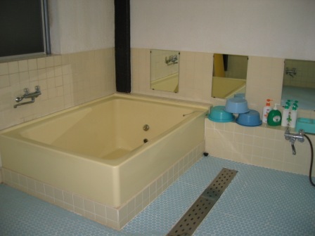 ���i�΁@���h�ӂ�