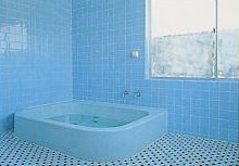 ���i�΁@���h���C��