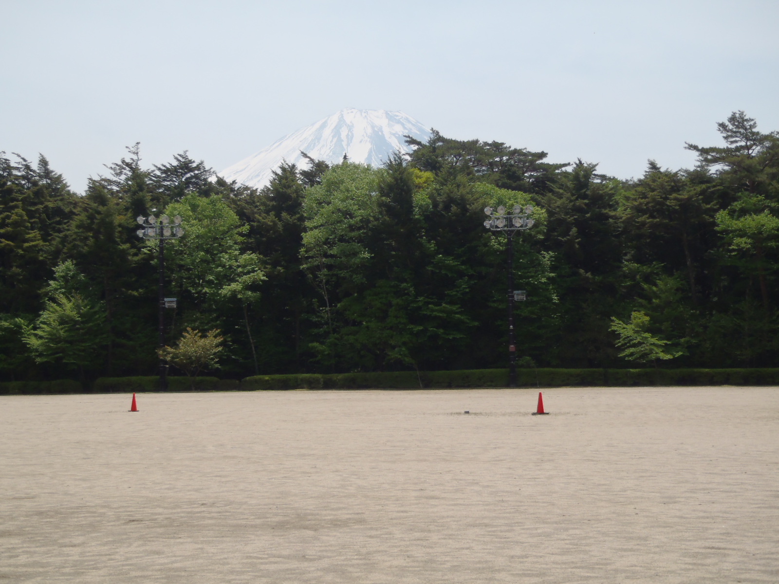 ���i���ړI�O�����h