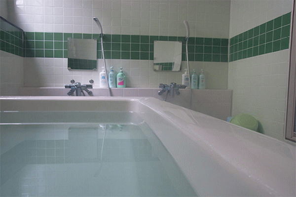 ���i�΁@���h�یc�@�嗁��