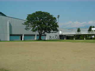 ���N�Z���^�[�싅��