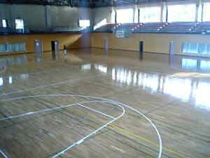 �s�������̈��