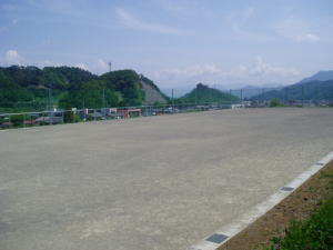 �R���Α��ړI�L��